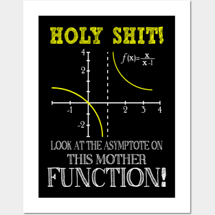 Funny Math, Holy Shit Look At The Asymptote On This Mother Function Posters and Art